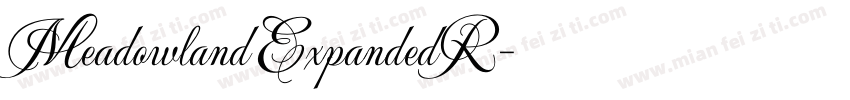 Meadowland ExpandedR字体转换